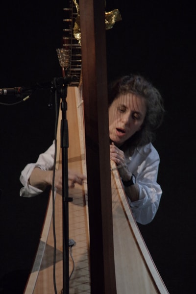 Zeena Parkins
