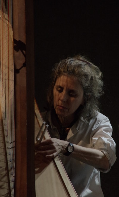 Zeena Parkins