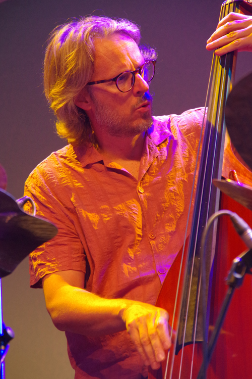 Bassist Demian Cabaud