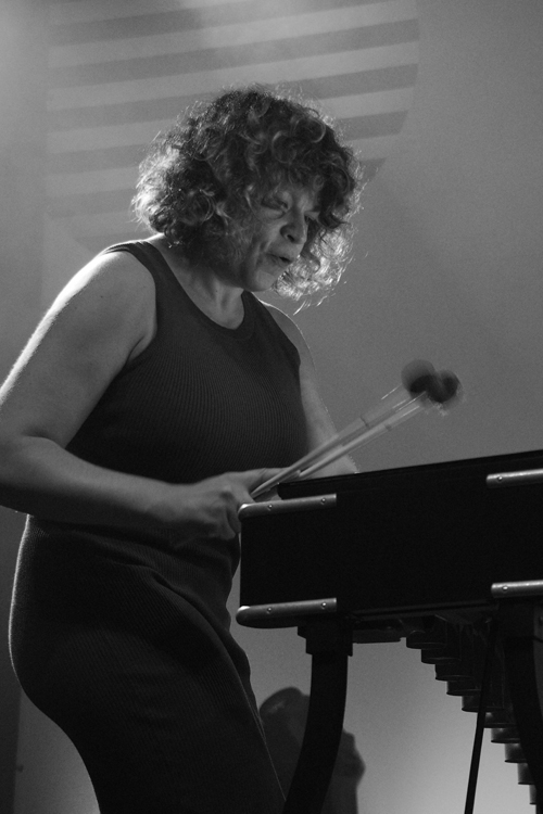 Vibraphonist Patricia Brennan