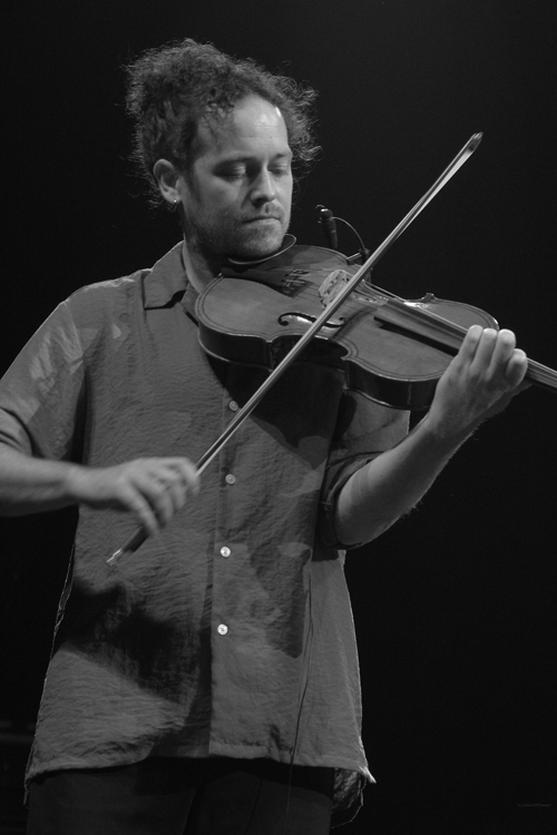 Fiddler Ultan O'Brien