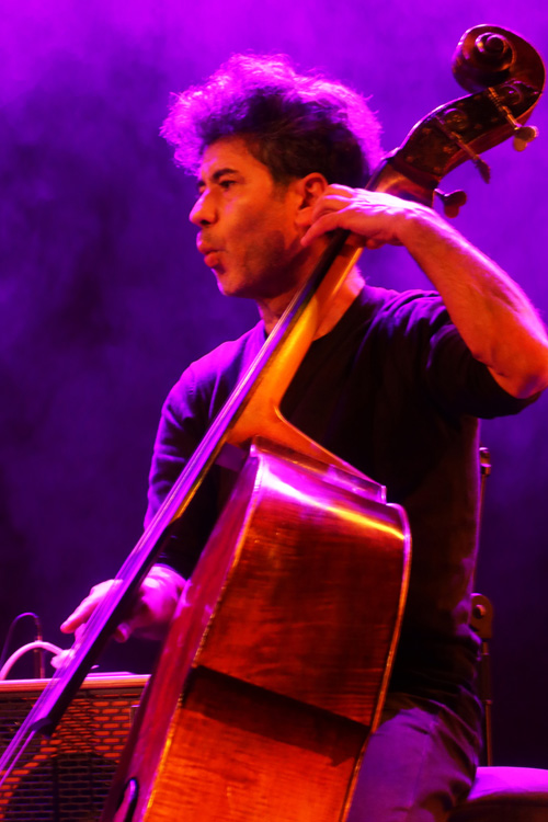 Bassist Sérgio Tavares