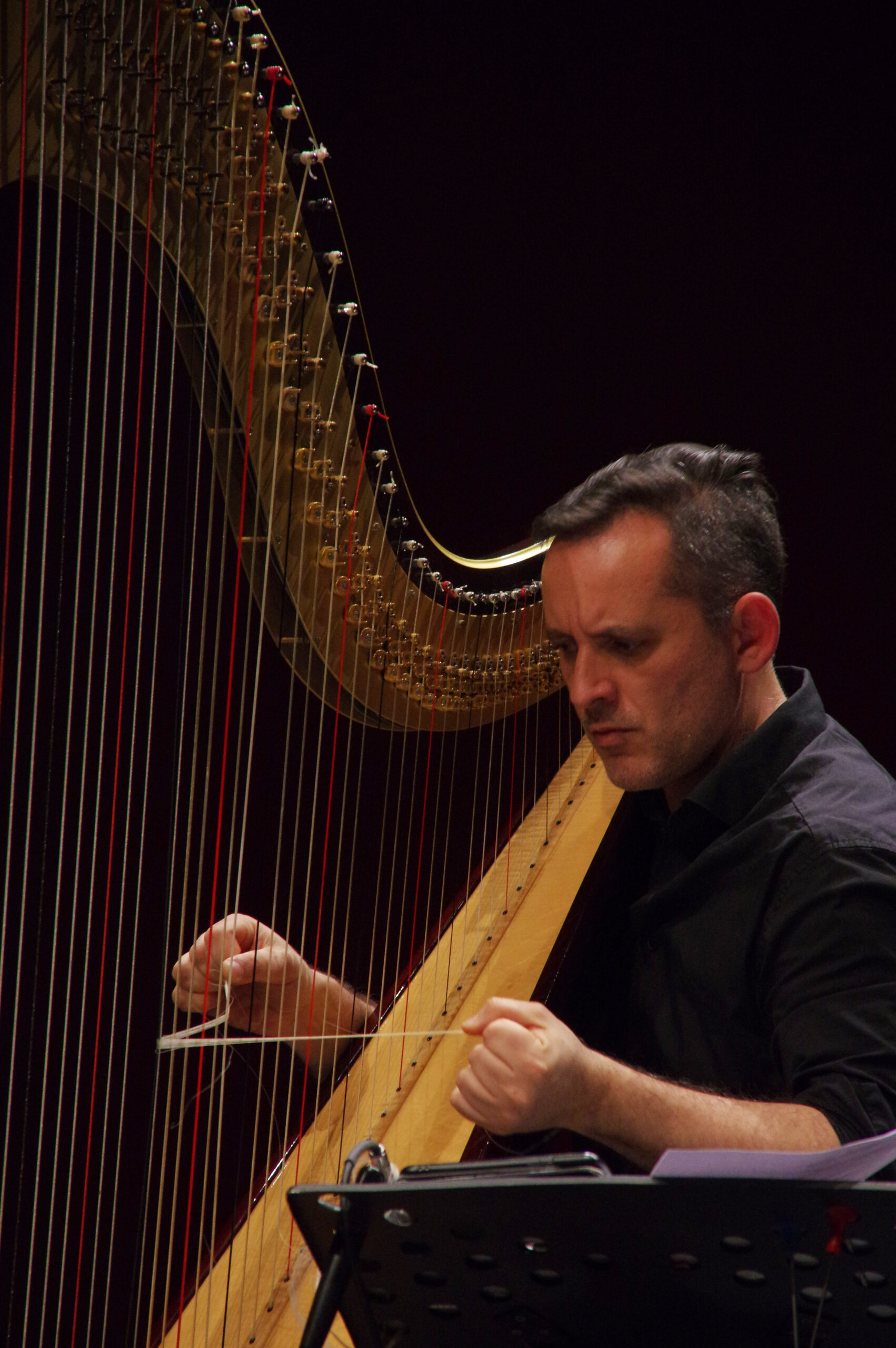 Harpist Eduardo Raon 