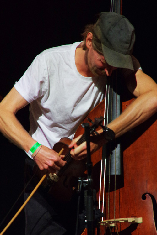 Bassist Niles Vermeulen