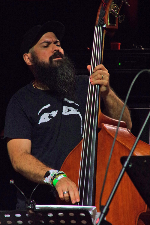 Bassist Reza Askari